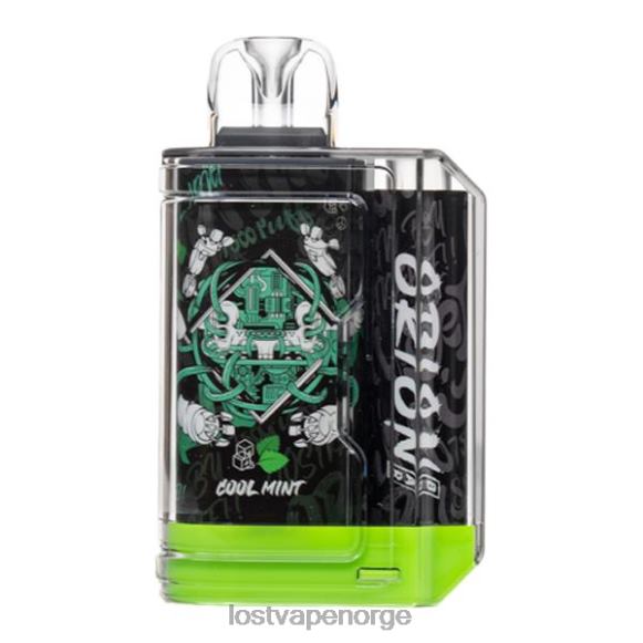 Lost Vape Orion engangsbar | 7500 puff | 18ml | 50 mg kjølig mynte | Lost Vape Customer Service NHN0H53