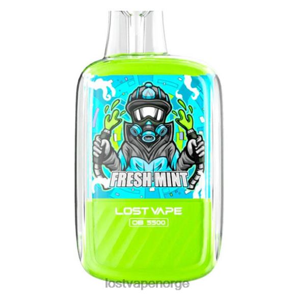Lost Vape Orion ob5500 5500 puffs 14ml 50mg engangs frisk Mint | Lost Vape Norge NHN0H101