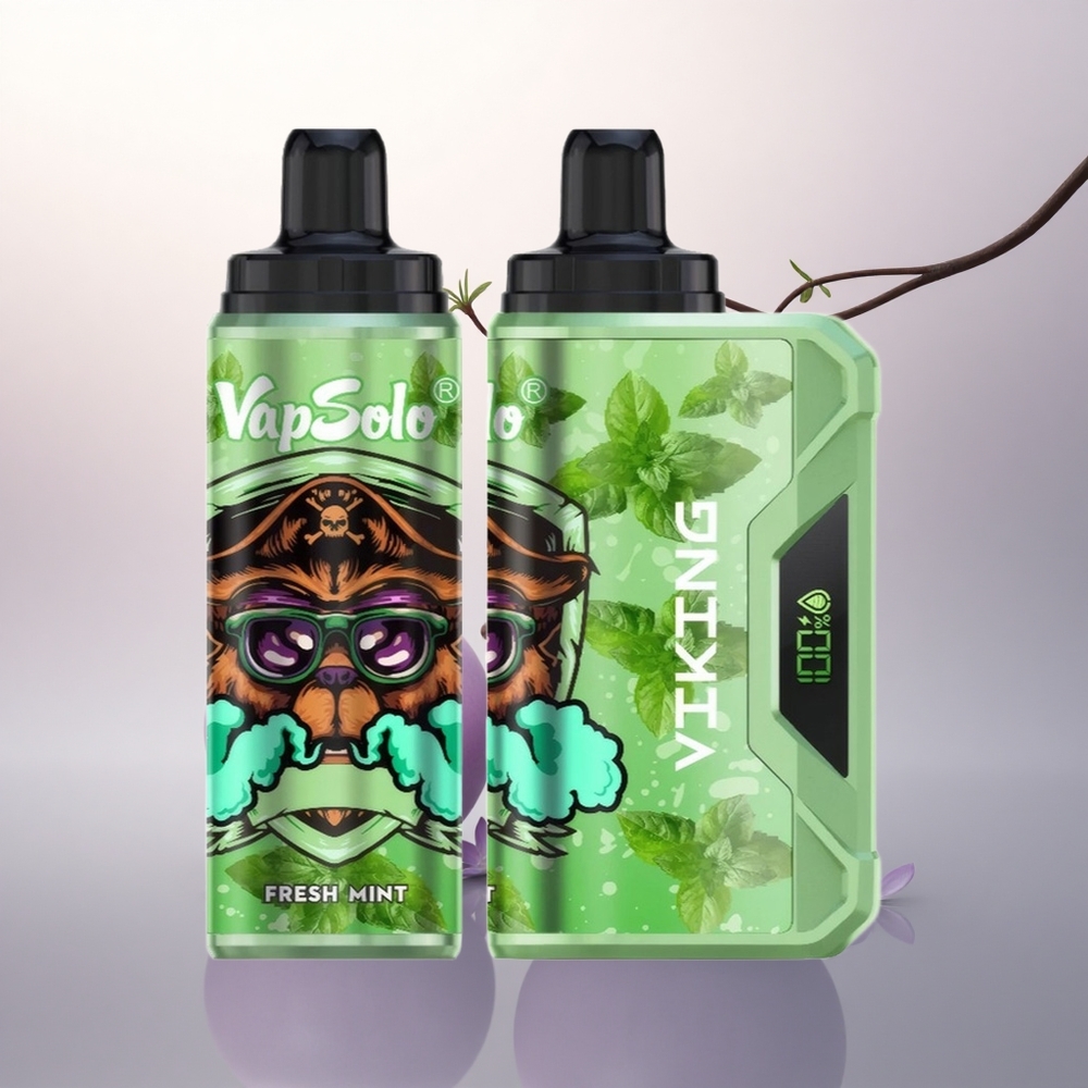 VapSolo VIKING 12000 Puffs Frisk Mynte 22ml Type-C 20mg Nikotin