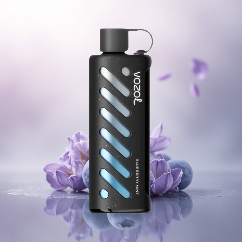 VOZOL Gear Shisha 25000 Puffs Blåbær Mynte med Dual Mesh og 1000mAh