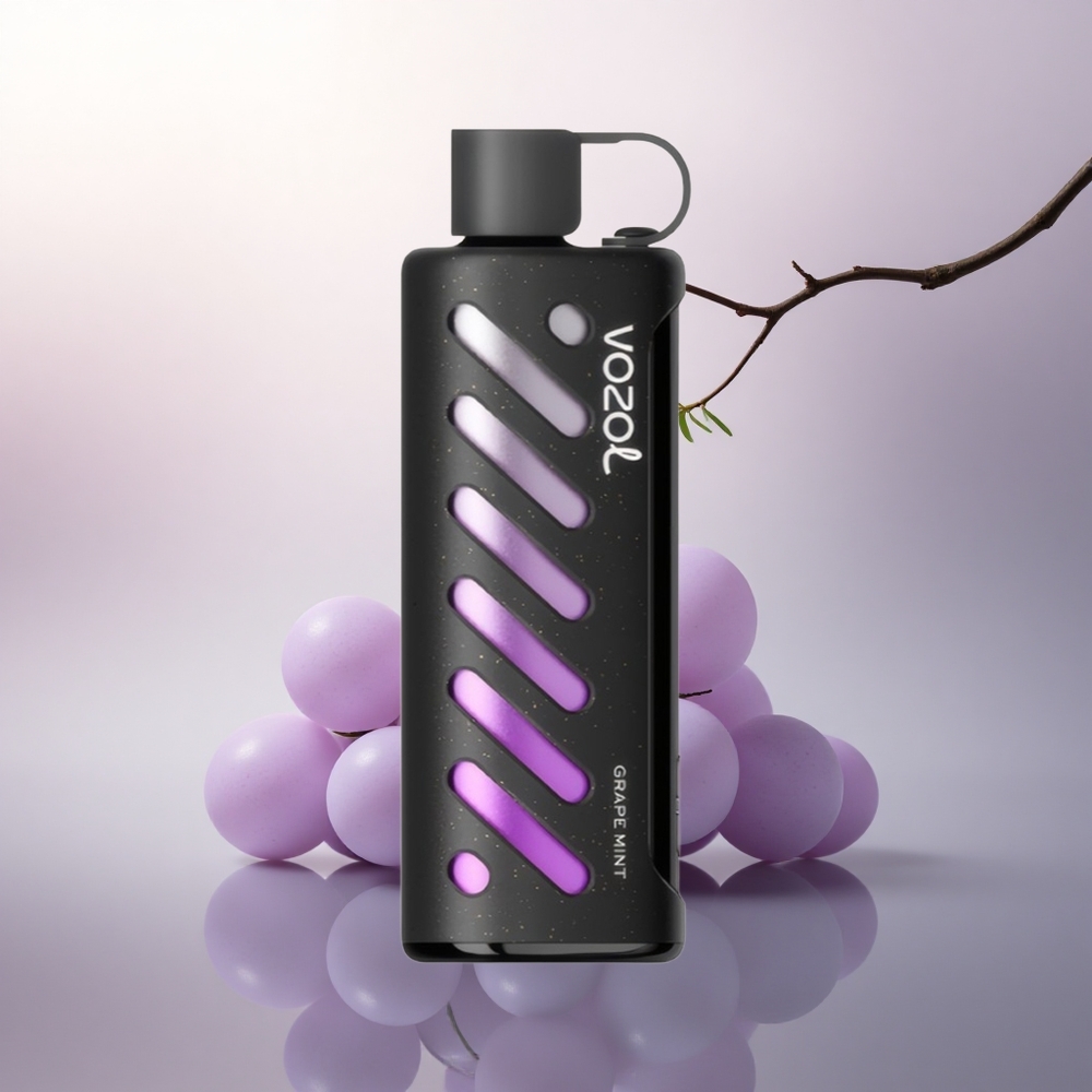 VOZOL Gear Shisha 25000 Puffs Drue Mynte Dual Mesh 1000mAh