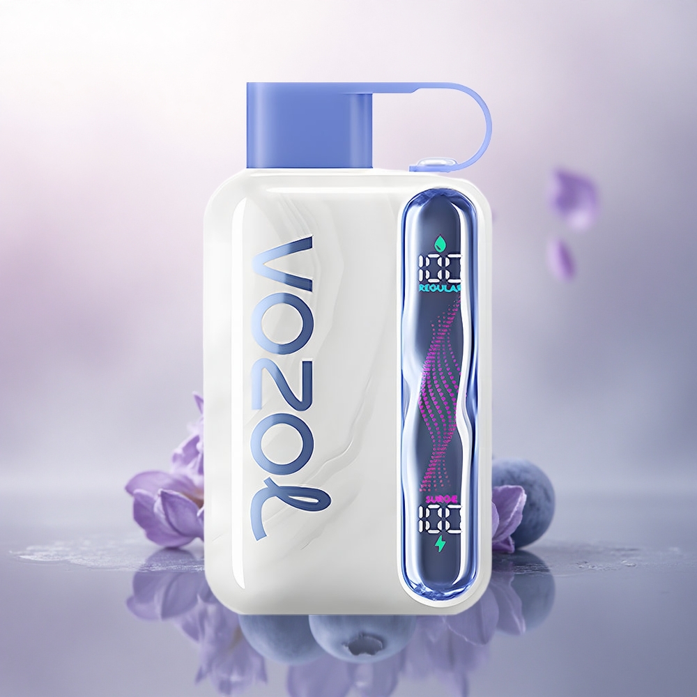 VOZOL STAR 40000 Puffs Blåbærmynte 1000mAh 20mg Nikotin