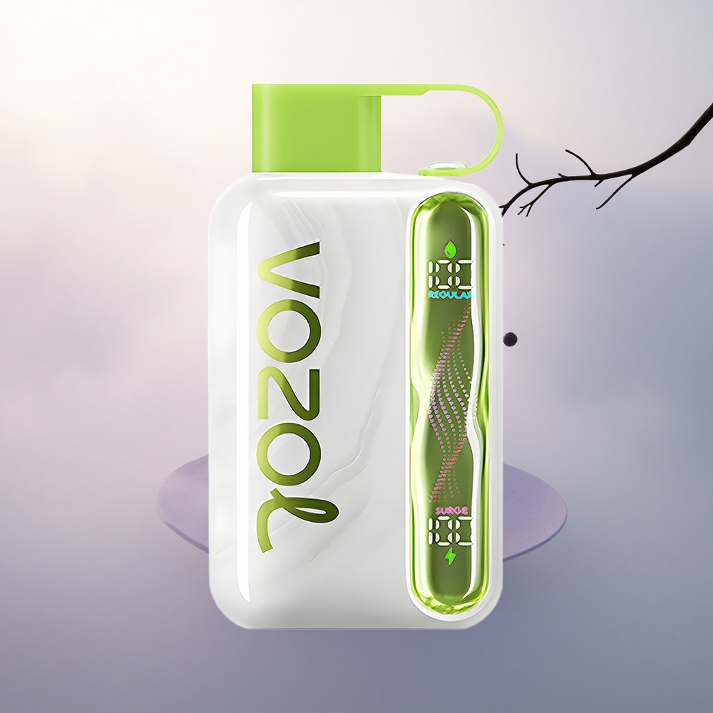 VOZOL STAR 40000 Puffs Kjølig Mynte 1000mAh 20mg Nikotin