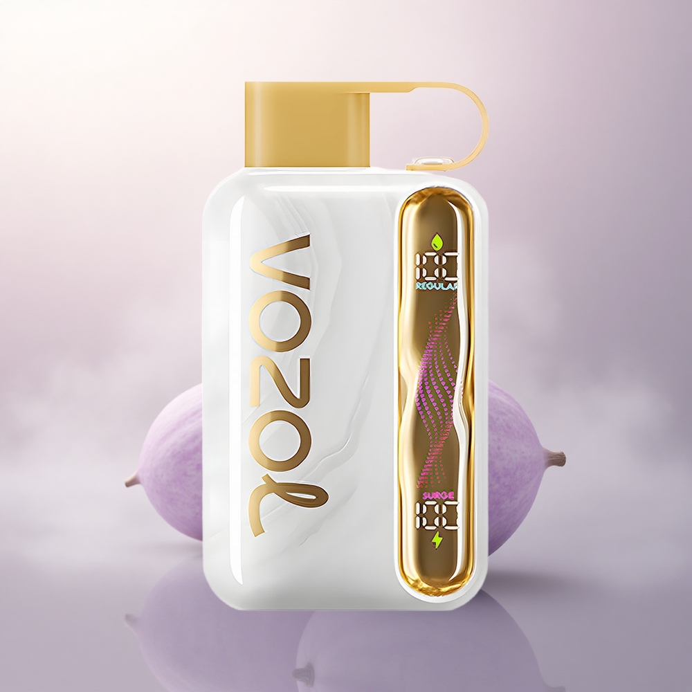 VOZOL STAR 40000 Puffs Melon Gum 1000mAh 20mg Nikotin