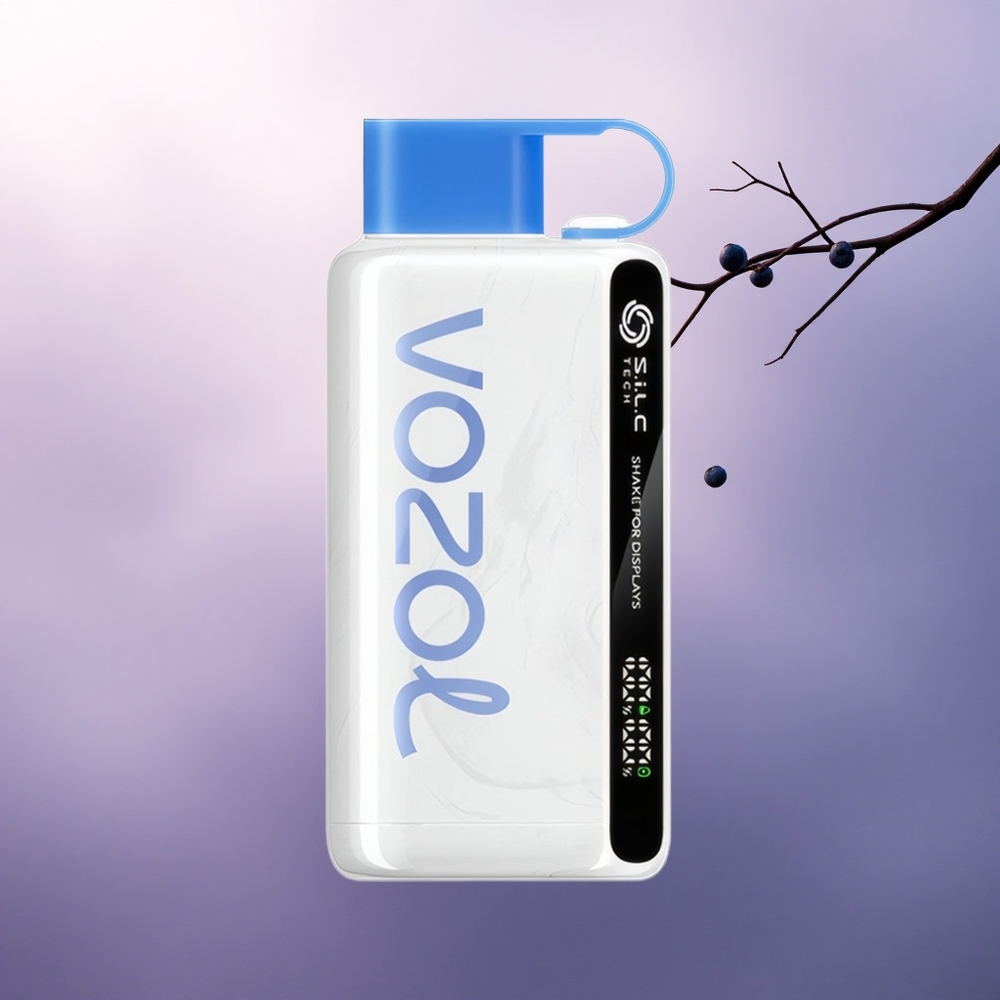 VOZOL STAR 9000/12000 Puffs Blåbærstorm med 650mAh og rasklading