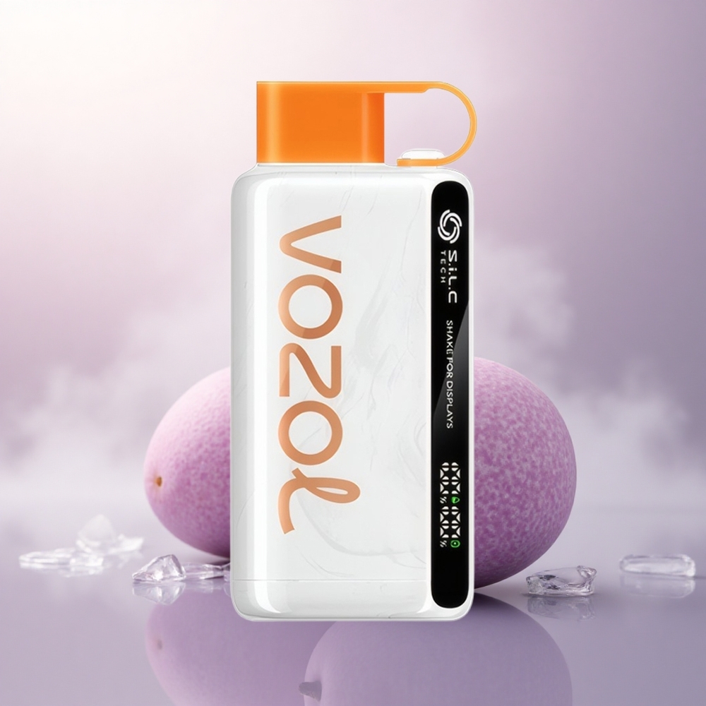 VOZOL STAR 9000/12000 Puffs Nordisk Mango Is med 650mAh og rasklading
