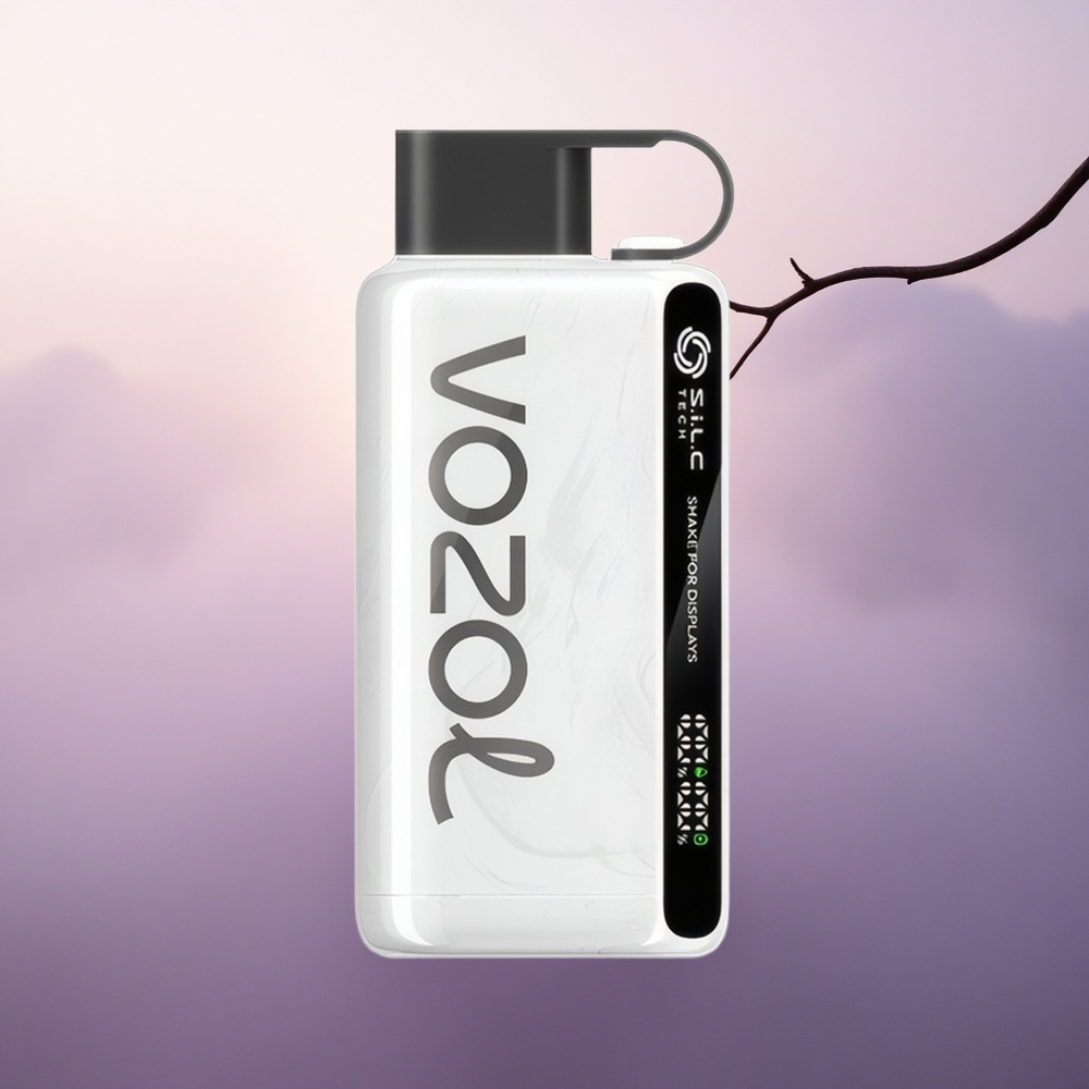 VOZOL STAR 9000/12000 Puffs Rist for visning 650mAh Nikotin